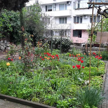 Boho דירה